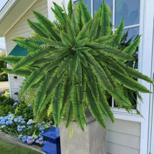 The AuraFern Realistic Boston Fern — Lush, Maintenance-Free Greenery +  50% OFF
