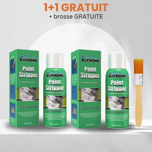 RayHong – Wipe Away Old Paint Instantly + 1+1 FREE