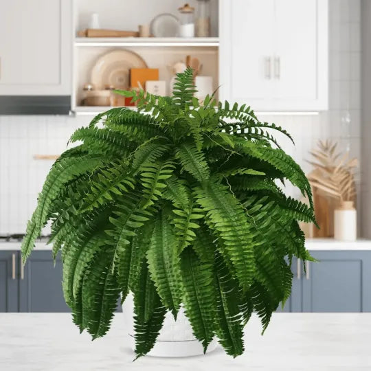 The AuraFern Realistic Boston Fern — Lush, Maintenance-Free Greenery +  50% OFF