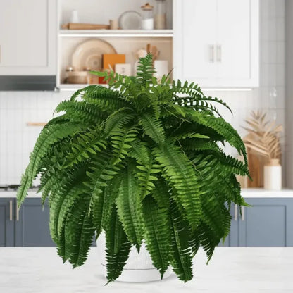 The AuraFern Realistic Boston Fern — Lush, Maintenance-Free Greenery +  50% OFF
