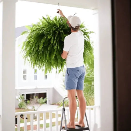 The AuraFern Realistic Boston Fern — Lush, Maintenance-Free Greenery +  50% OFF