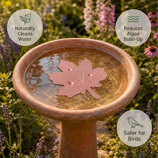 Fernwick – Pure Copper Leaf Bird Bath Cleaner Disc + 50% OFF