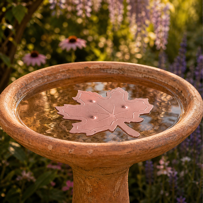 Fernwick – Pure Copper Leaf Bird Bath Cleaner Disc + 50% OFF