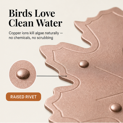 Fernwick – Pure Copper Leaf Bird Bath Cleaner Disc + 50% OFF