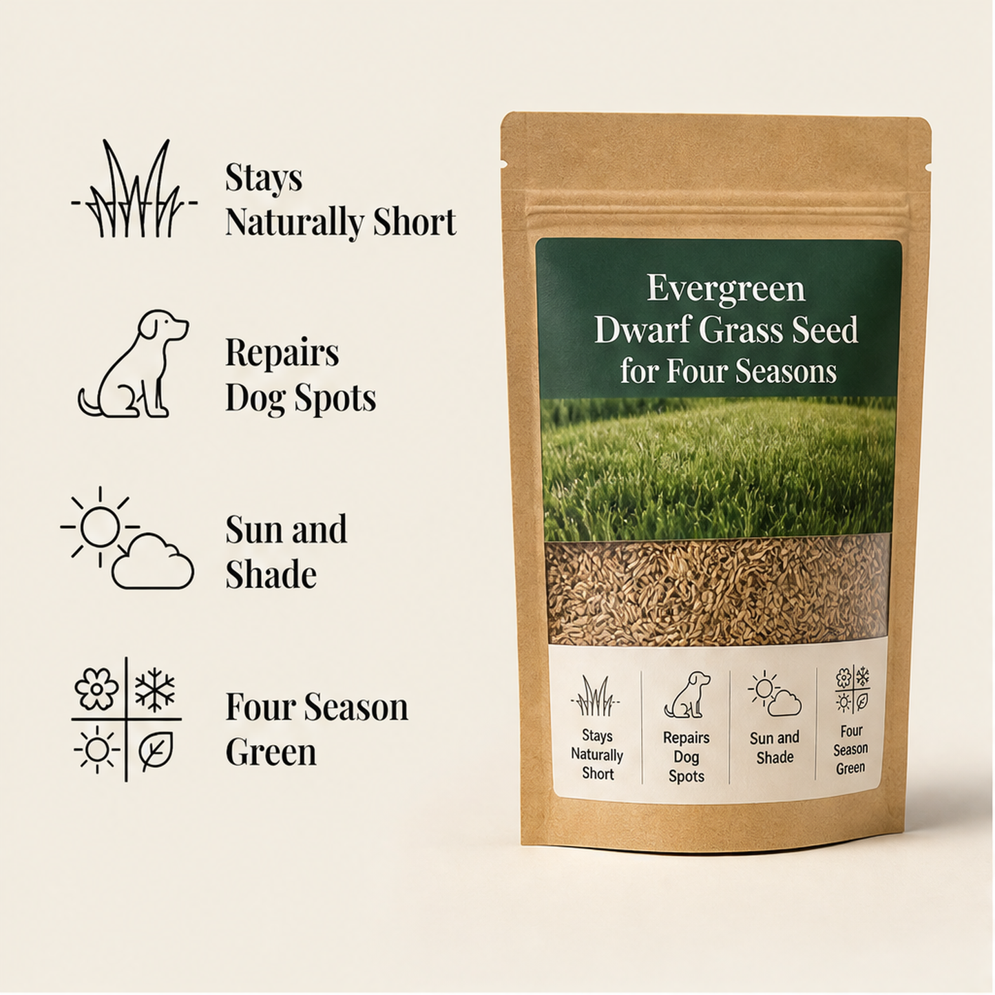Everdell – Four-Season Evergreen Dwarf Grass Seed for Bare Spots & High-Traffic Lawns + 50% OFF
