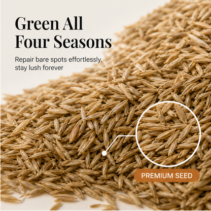 Everdell – Four-Season Evergreen Dwarf Grass Seed for Bare Spots & High-Traffic Lawns + 50% OFF
