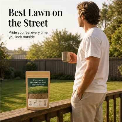 Everdell – Four-Season Evergreen Dwarf Grass Seed for Bare Spots & High-Traffic Lawns + 50% OFF