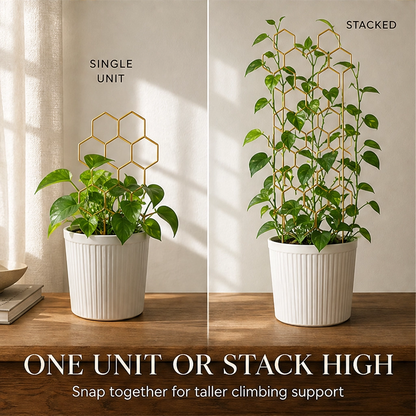 Vinecroft™ – Stackable Honeycomb Plant Trellis for Climbing Houseplants + 50% OFF