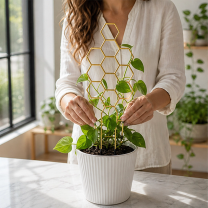 Vinecroft™ – Stackable Honeycomb Plant Trellis for Climbing Houseplants + 50% OFF