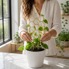 Vinecroft™ – Stackable Honeycomb Plant Trellis for Climbing Houseplants + 50% OFF