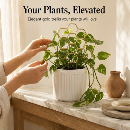 Vinecroft™ – Stackable Honeycomb Plant Trellis for Climbing Houseplants + 50% OFF