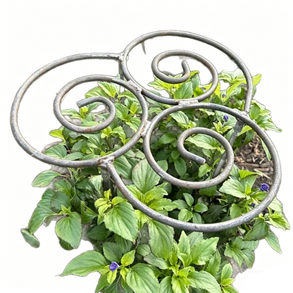 Filigra™ – Heavy-Duty Iron Scroll Peony & Flower Support Frame + 50% OFF